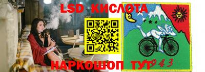 спайс Гагарин