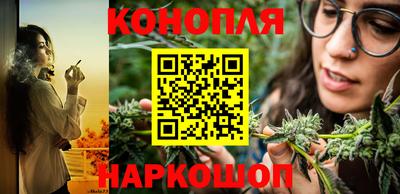 твердый Гай