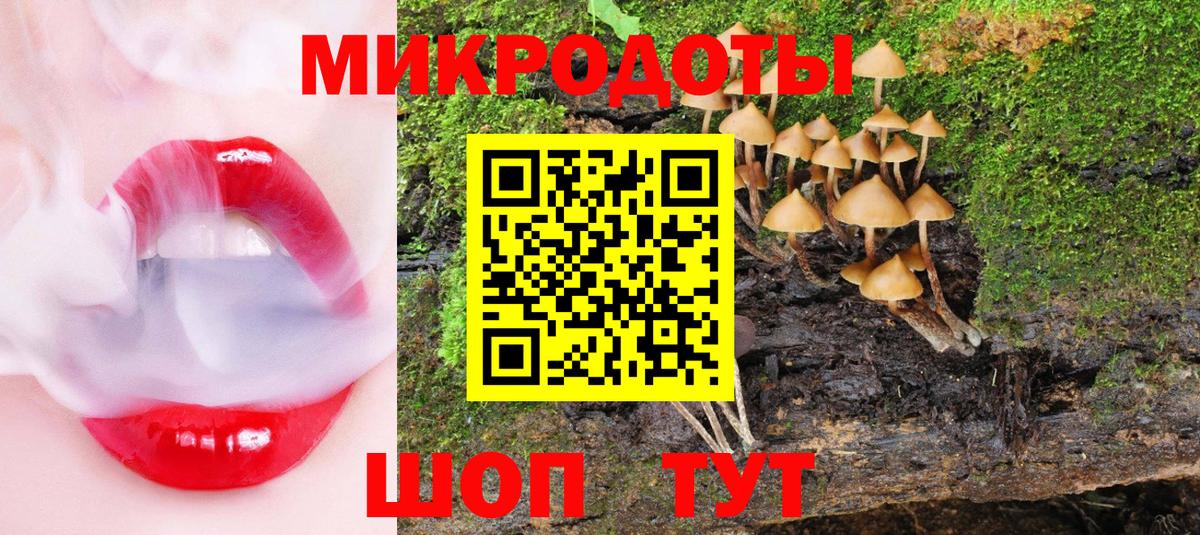 Псилоцибиновые грибы Psilocybe Реутов